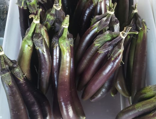 Pana’ewa Farmers Market