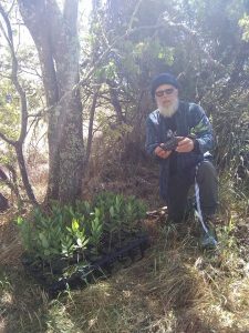 Native Reforestation