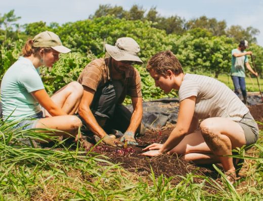 HIP Agriculture