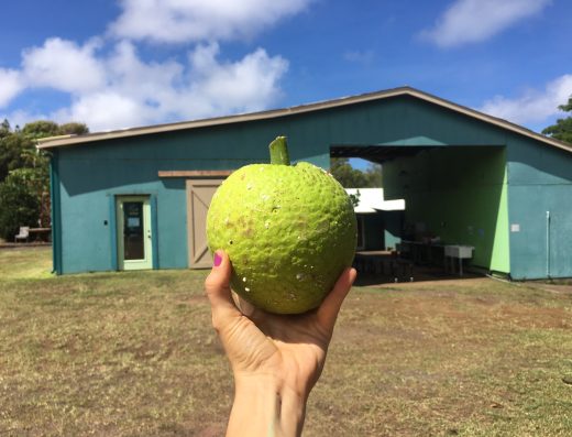 Kohala Food Hub