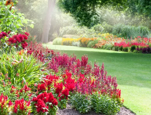 Beautifully landscaped yard using plants and supplies from Garden Exchange in Hilo, Hawaii