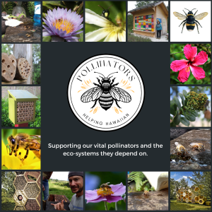 Pollinator Sanctuaries