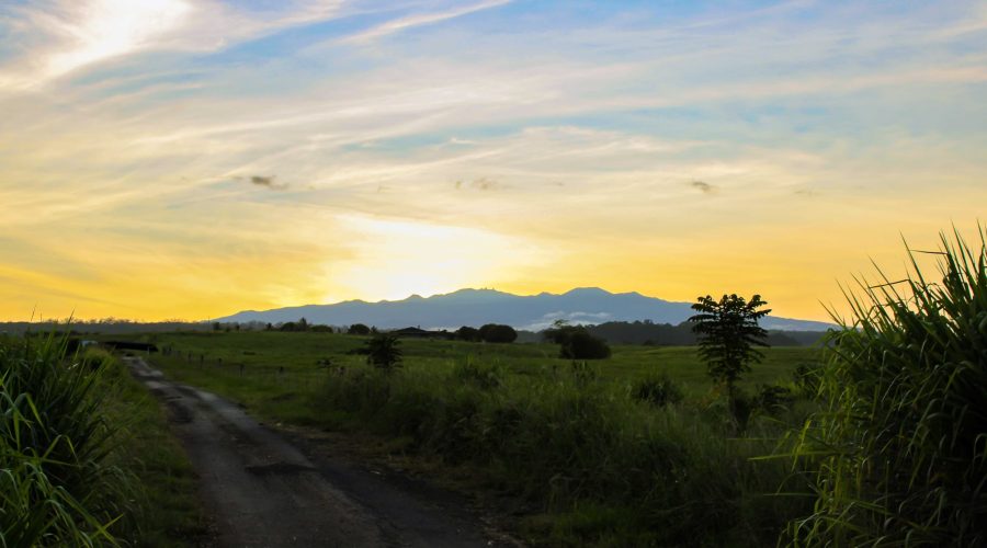 Mililani Trask Speaks Out on Mauna Kea: A Call to Protect Sacred Lands