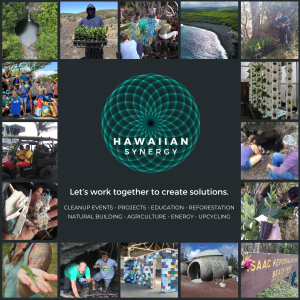 Stewardship Workshops