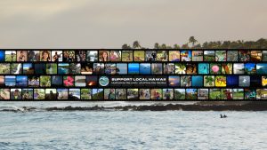 Collage of local Hawaiian musicians, Kānaka Maoli, community members, and positive impact projects representing the vibrant culture, spirit, and environment of Hawaii.