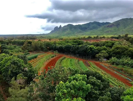Moloa’a Organica’a