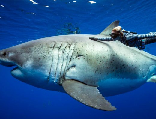 Ocean Ramsey