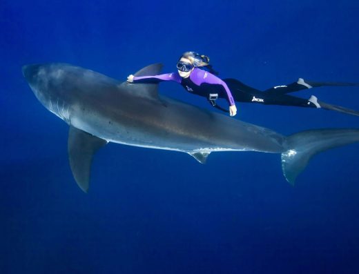 Ocean Ramsey