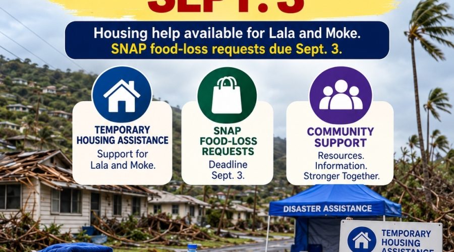 SNAP Food Replacement Assistance – Deadline Extended