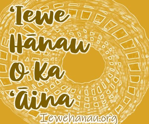 ʻIewe Hānau o ka ʻĀina Kōkua Kaʻū Hurricane Lala relief and recovery support