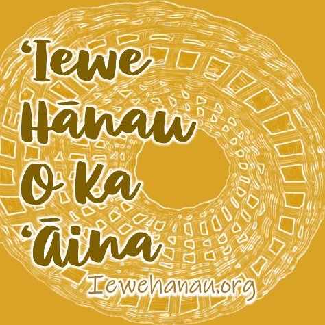 ʻIewe Hānau o ka ʻĀina Kōkua Kaʻū Hurricane Lala relief and recovery support