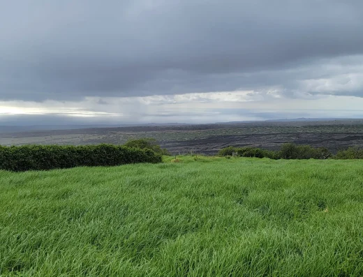 ʻIewe Hānau o ka ʻĀina