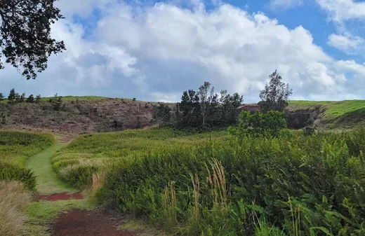 ʻIewe Hānau o ka ʻĀina